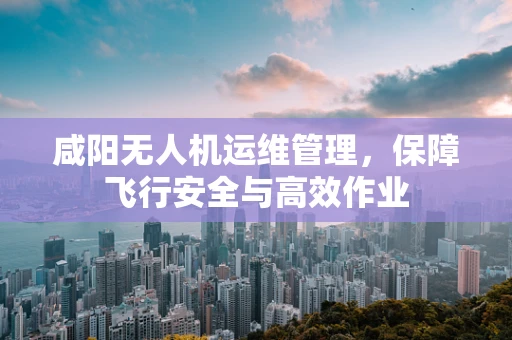 咸阳无人机运维管理，保障飞行安全与高效作业