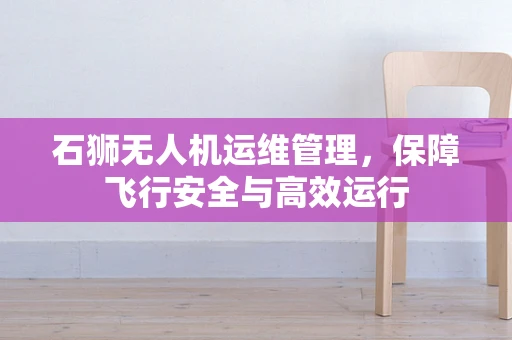 石狮无人机运维管理，保障飞行安全与高效运行