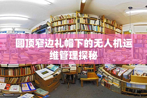 圆顶窄边礼帽下的无人机运维管理探秘