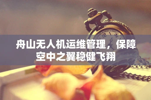 舟山无人机运维管理，保障空中之翼稳健飞翔