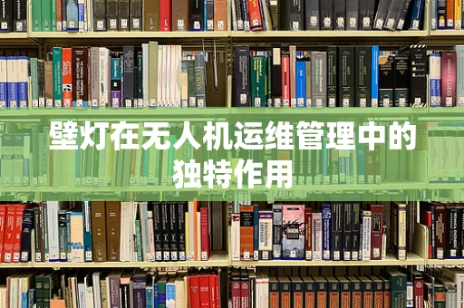 壁灯在无人机运维管理中的独特作用