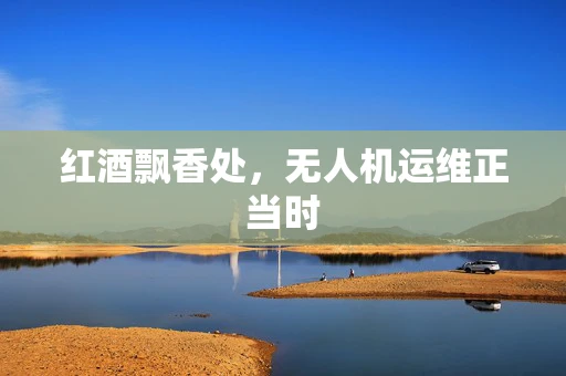 红酒飘香处，无人机运维正当时