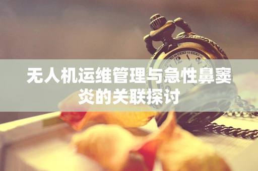 无人机运维管理与急性鼻窦炎的关联探讨