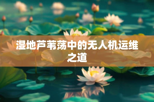 湿地芦苇荡中的无人机运维之道