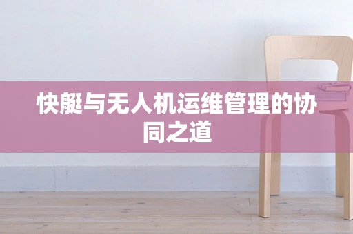 快艇与无人机运维管理的协同之道