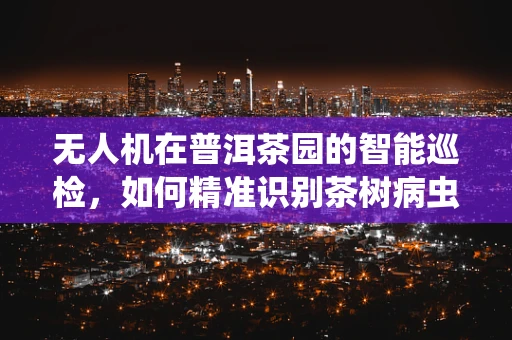 无人机在普洱茶园的智能巡检，如何精准识别茶树病虫害？