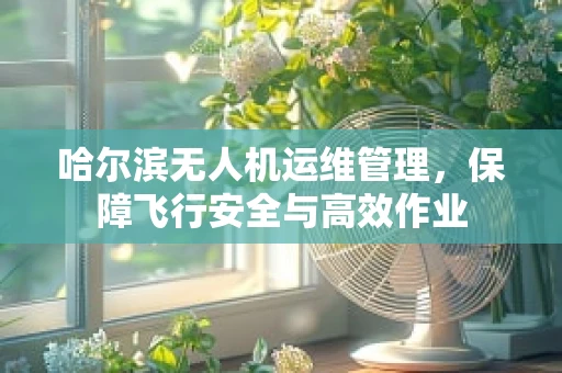 哈尔滨无人机运维管理，保障飞行安全与高效作业