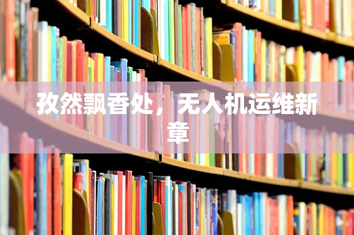 孜然飘香处，无人机运维新章