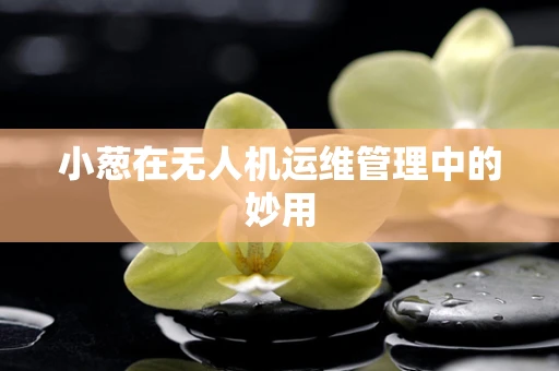 小葱在无人机运维管理中的妙用
