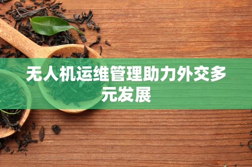 无人机运维管理助力外交多元发展