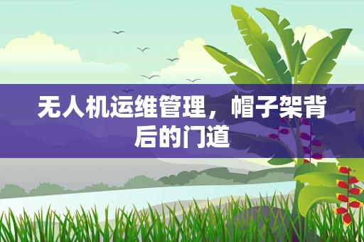 无人机运维管理，帽子架背后的门道