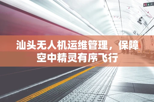 汕头无人机运维管理，保障空中精灵有序飞行