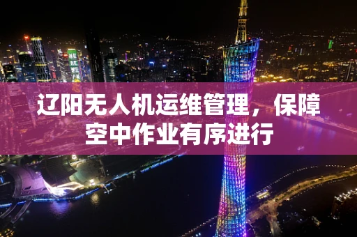 辽阳无人机运维管理，保障空中作业有序进行