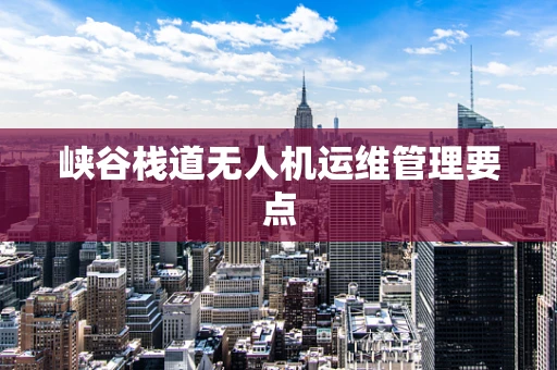 峡谷栈道无人机运维管理要点