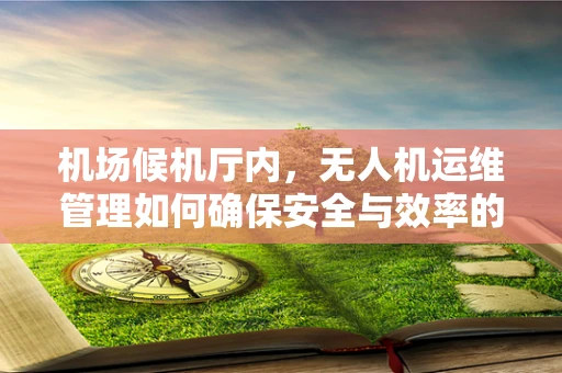 机场候机厅内，无人机运维管理如何确保安全与效率的平衡？