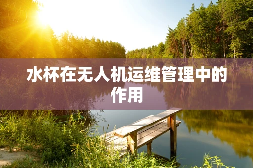 水杯在无人机运维管理中的作用