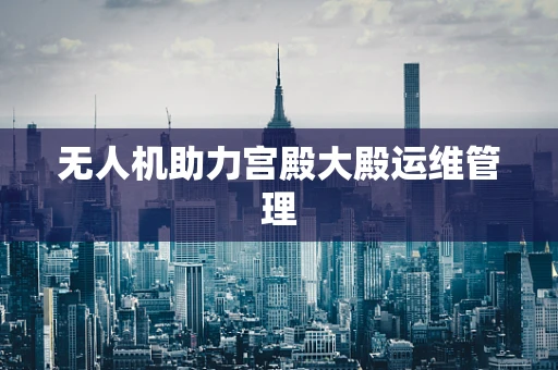 无人机助力宫殿大殿运维管理