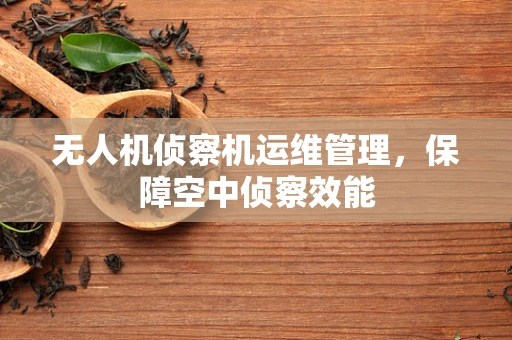 无人机侦察机运维管理，保障空中侦察效能