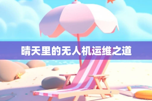 晴天里的无人机运维之道