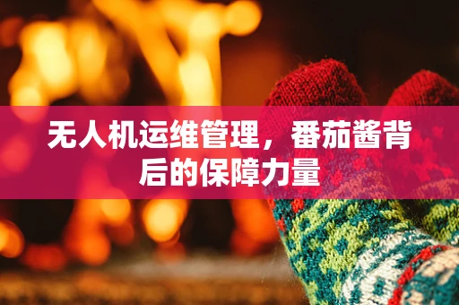 无人机运维管理，番茄酱背后的保障力量