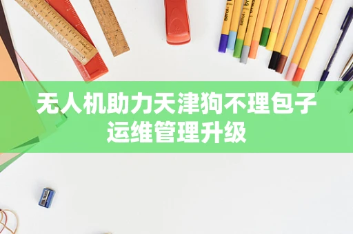 无人机助力天津狗不理包子运维管理升级