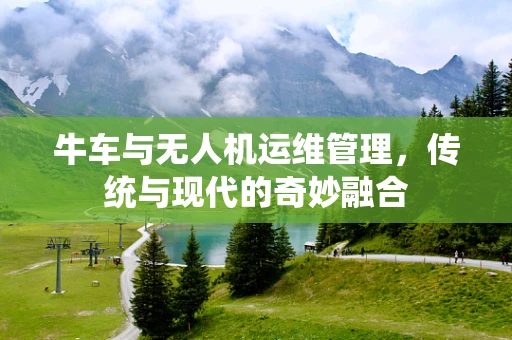 牛车与无人机运维管理，传统与现代的奇妙融合