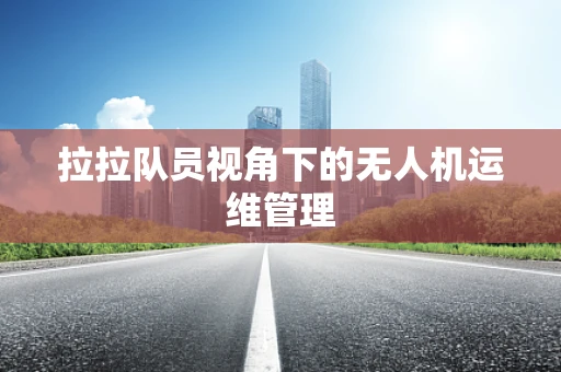 拉拉队员视角下的无人机运维管理