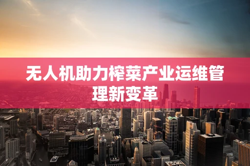 无人机助力榨菜产业运维管理新变革