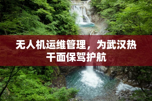 无人机运维管理，为武汉热干面保驾护航