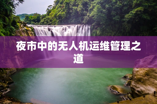 夜市中的无人机运维管理之道