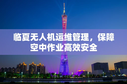 临夏无人机运维管理，保障空中作业高效安全
