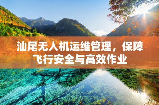 汕尾无人机运维管理，保障飞行安全与高效作业