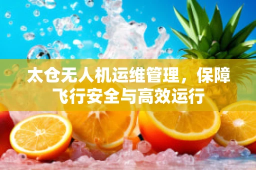 太仓无人机运维管理，保障飞行安全与高效运行