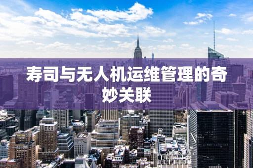 寿司与无人机运维管理的奇妙关联