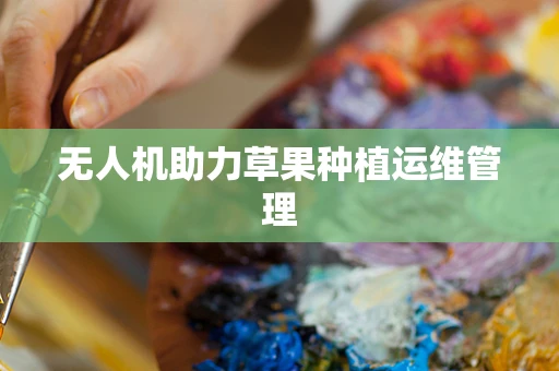 无人机助力草果种植运维管理