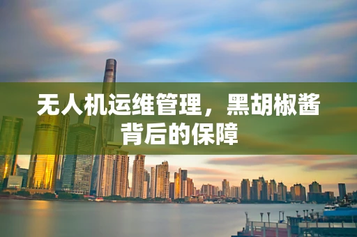 无人机运维管理，黑胡椒酱背后的保障