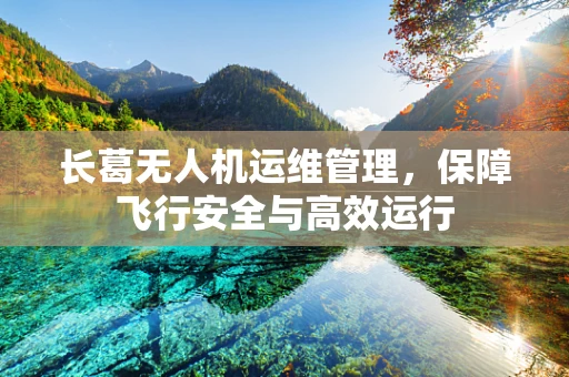 长葛无人机运维管理，保障飞行安全与高效运行