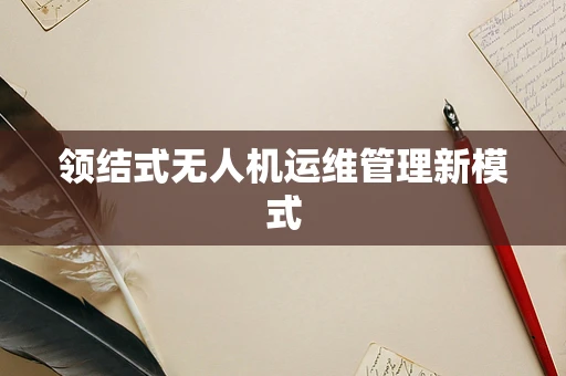 领结式无人机运维管理新模式