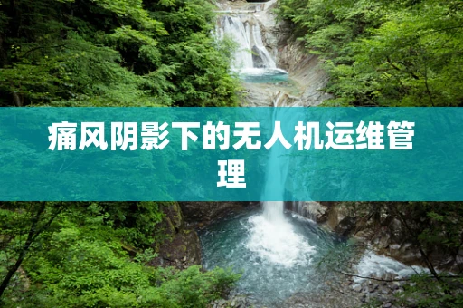 痛风阴影下的无人机运维管理