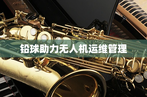 铅球助力无人机运维管理