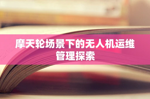 摩天轮场景下的无人机运维管理探索