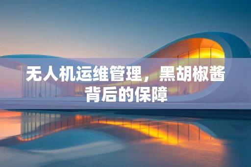 无人机运维管理，黑胡椒酱背后的保障