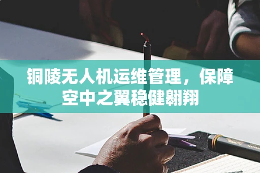 铜陵无人机运维管理，保障空中之翼稳健翱翔
