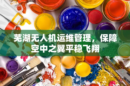 芜湖无人机运维管理，保障空中之翼平稳飞翔