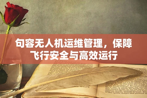 句容无人机运维管理，保障飞行安全与高效运行