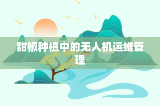 甜椒种植中的无人机运维管理