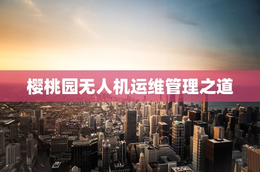 樱桃园无人机运维管理之道