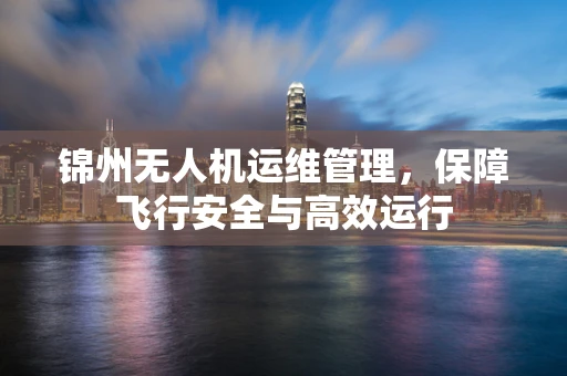 锦州无人机运维管理，保障飞行安全与高效运行
