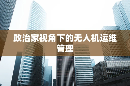 政治家视角下的无人机运维管理
