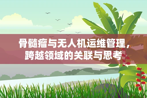 骨髓瘤与无人机运维管理，跨越领域的关联与思考